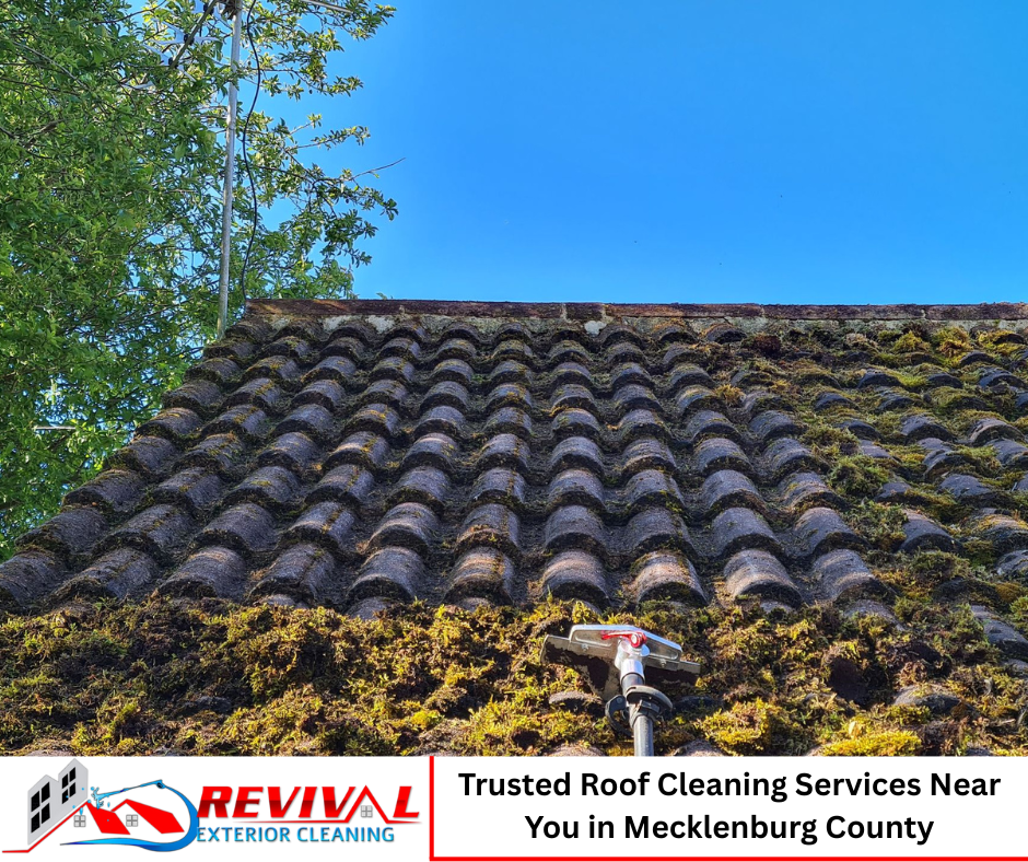 Trusted Roof Cleaning Services Near You in Mecklenburg County – Safe, Affordable Soft Wash