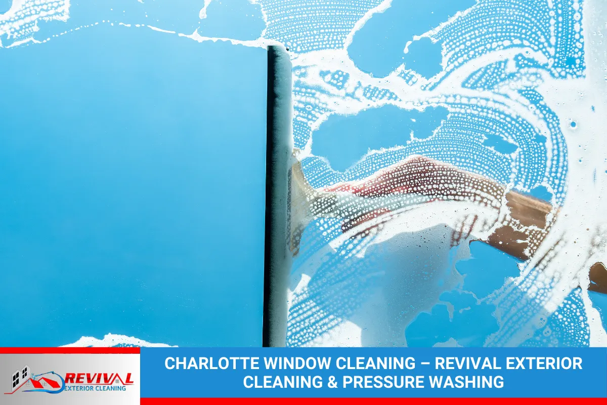 Charlotte Window Cleaning – Revival Exterior Cleaning & Pressure Washing