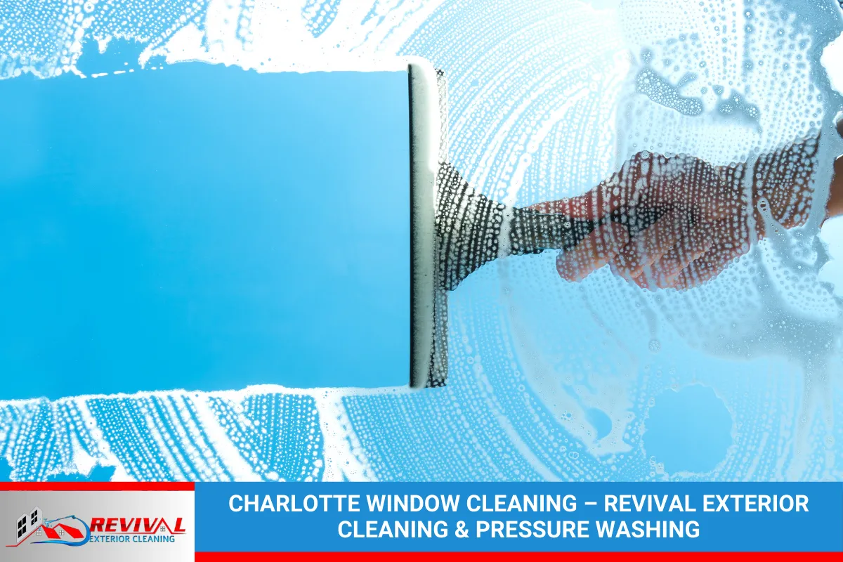 Charlotte Window Cleaning – Revival Exterior Cleaning & Pressure Washing
