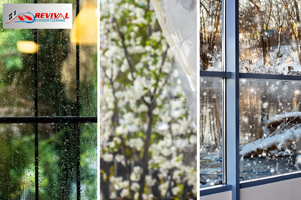 Charlotte’s Climate: Why Local Conditions Matter