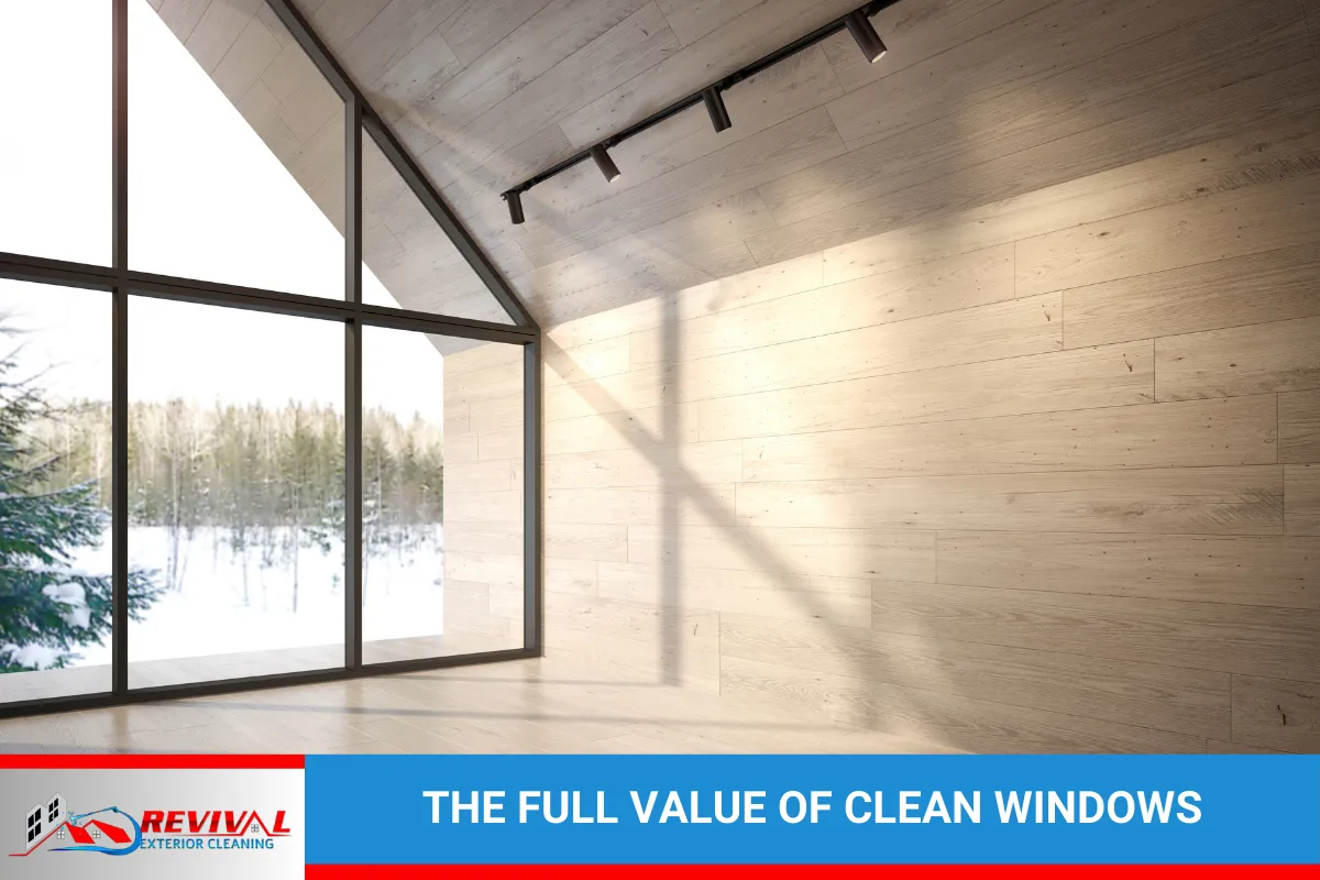The Full Value of Clean Windows