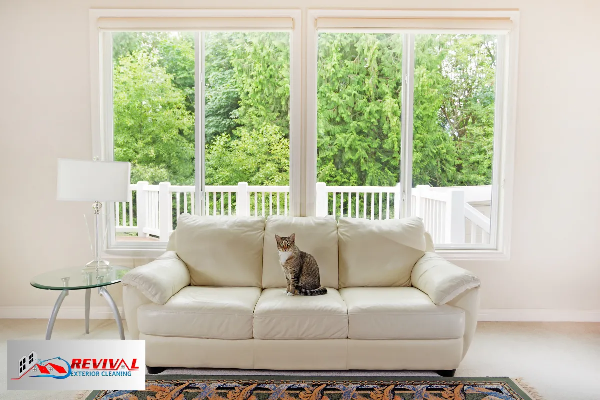 Why Is Window Cleaning So Important?