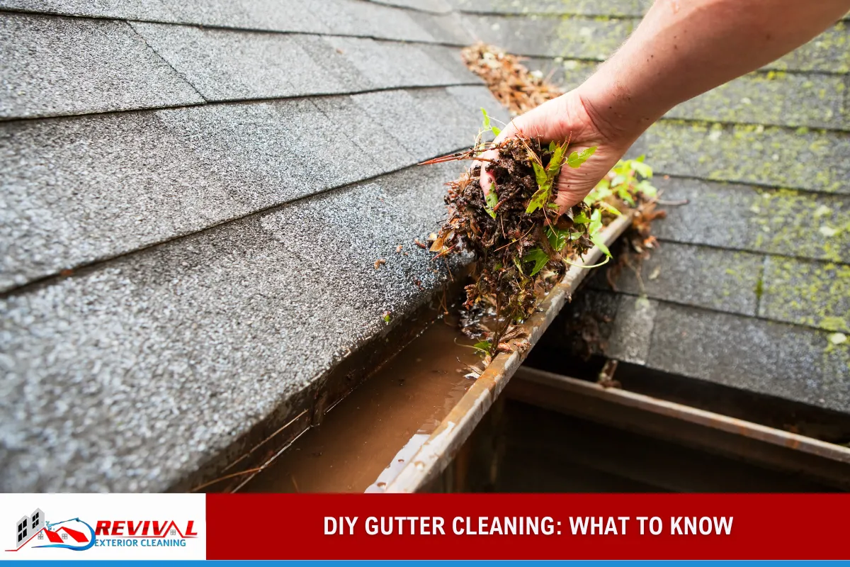 DIY Gutter Cleaning: What to Know
