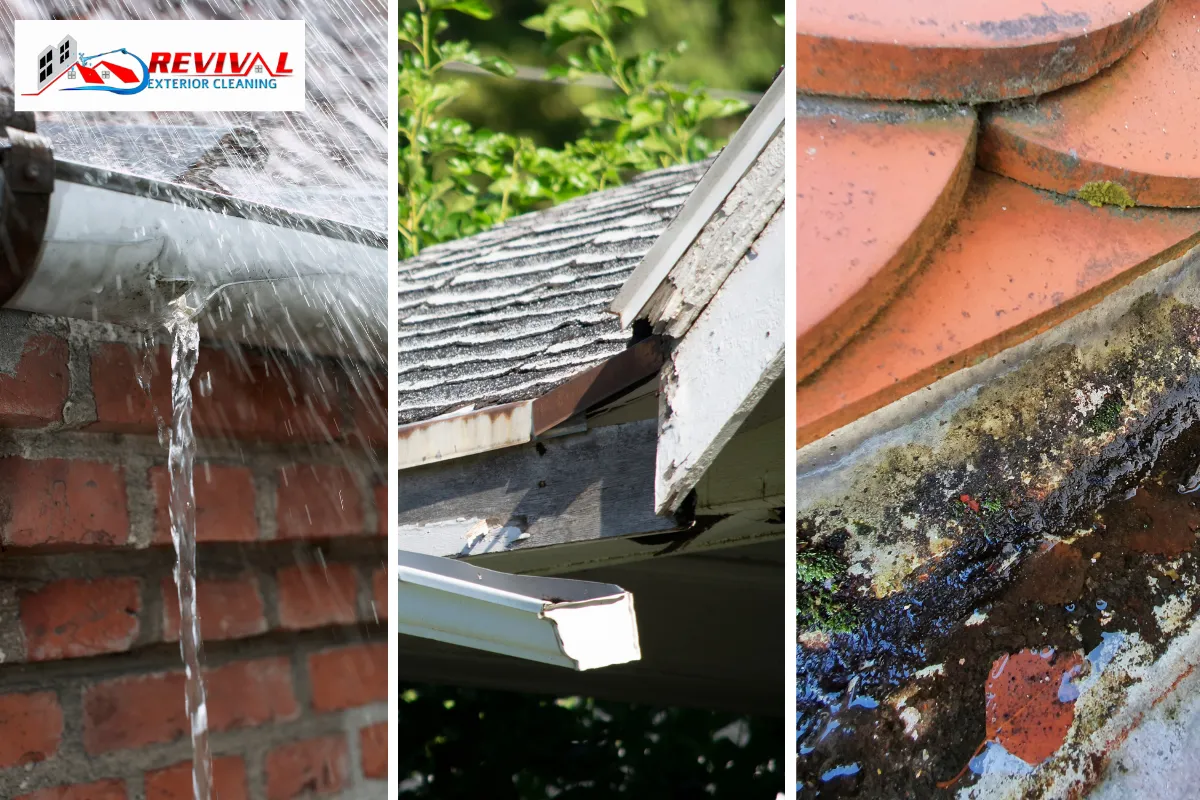 Signs Your Gutters Are in Trouble