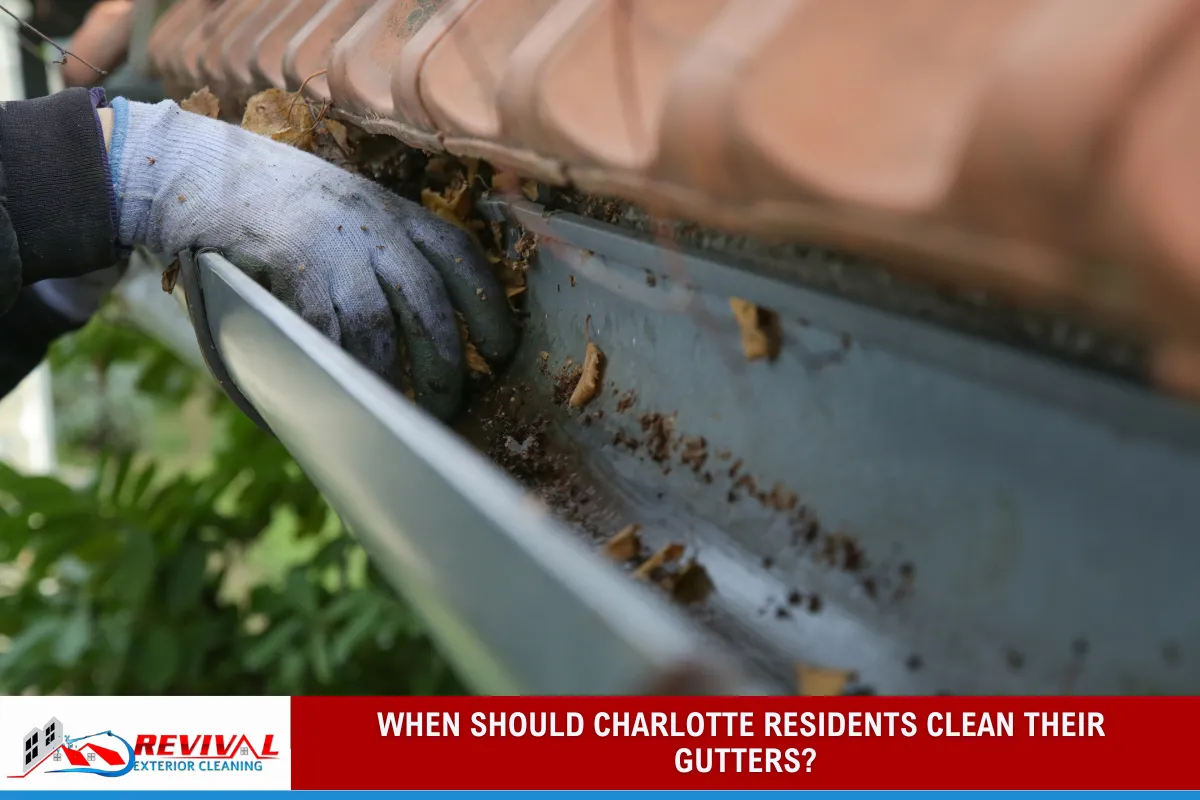 When Should Charlotte Residents Clean Their Gutters?