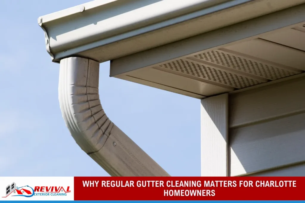 Why Regular Gutter Cleaning Matters for Charlotte Homeowners