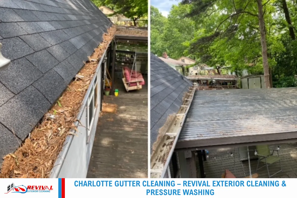 Charlotte Gutter Cleaning – Revival Exterior Cleaning & Pressure Washing
