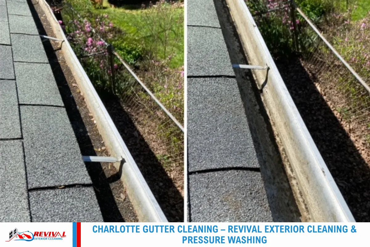 Charlotte Gutter Cleaning – Revival Exterior Cleaning & Pressure Washing