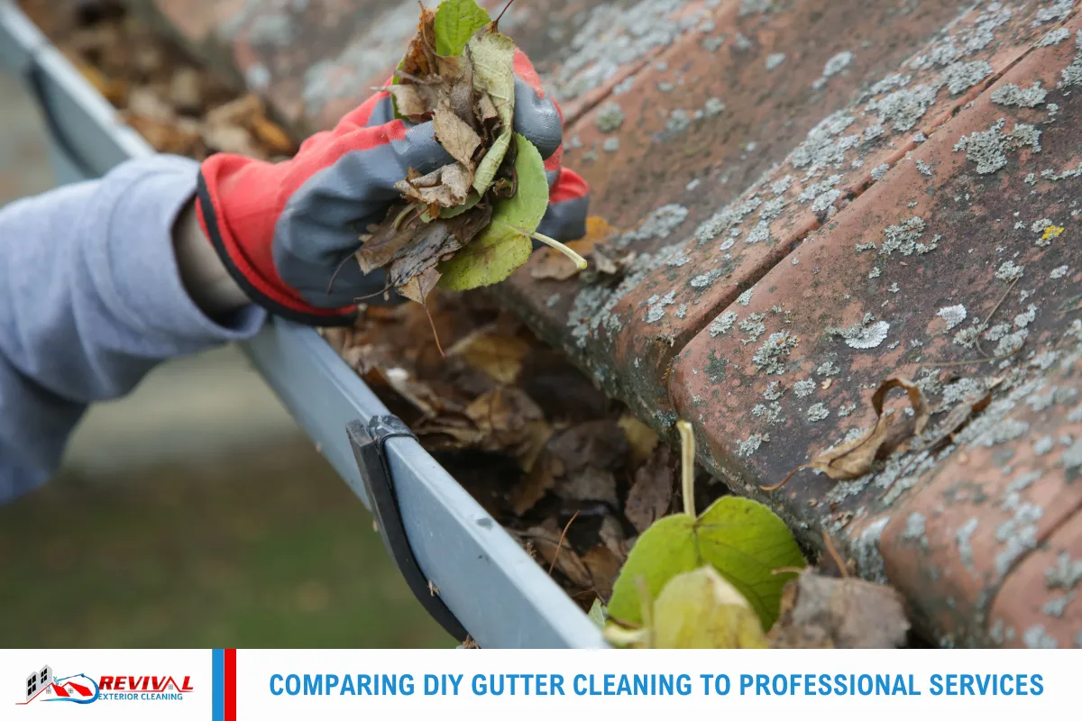 Comparing DIY Gutter Cleaning to Professional Services