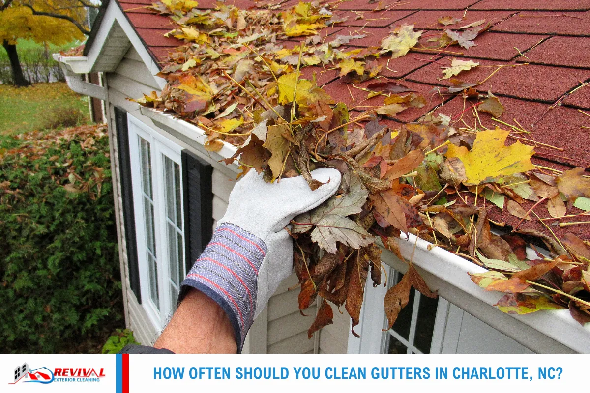 How Often Should You Clean Gutters in Charlotte, NC?