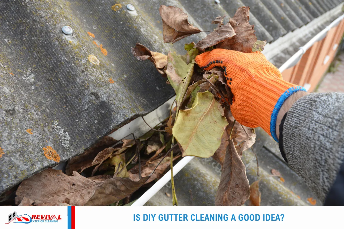 Is DIY Gutter Cleaning a Good Idea?
