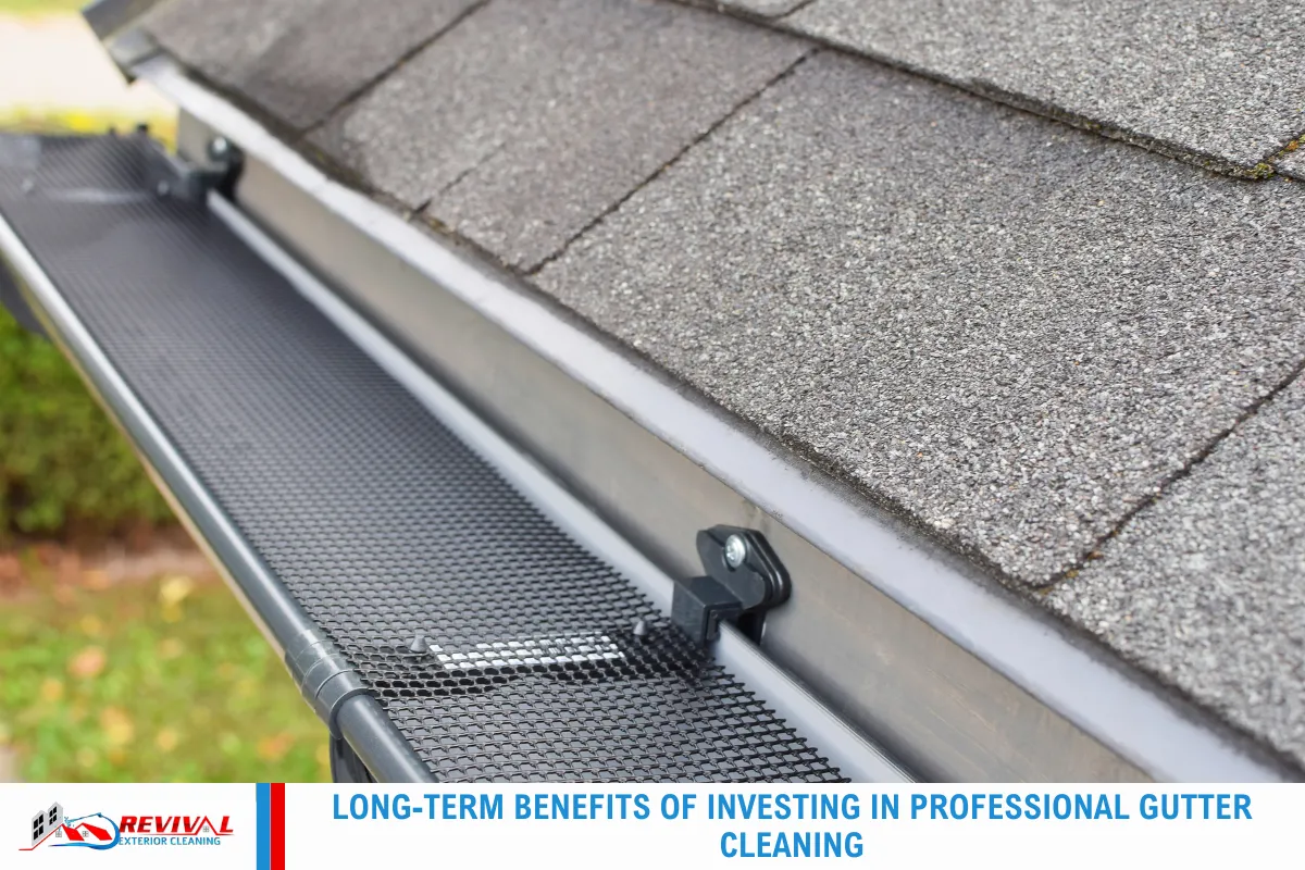 Long-Term Benefits of Investing in Professional Gutter Cleaning