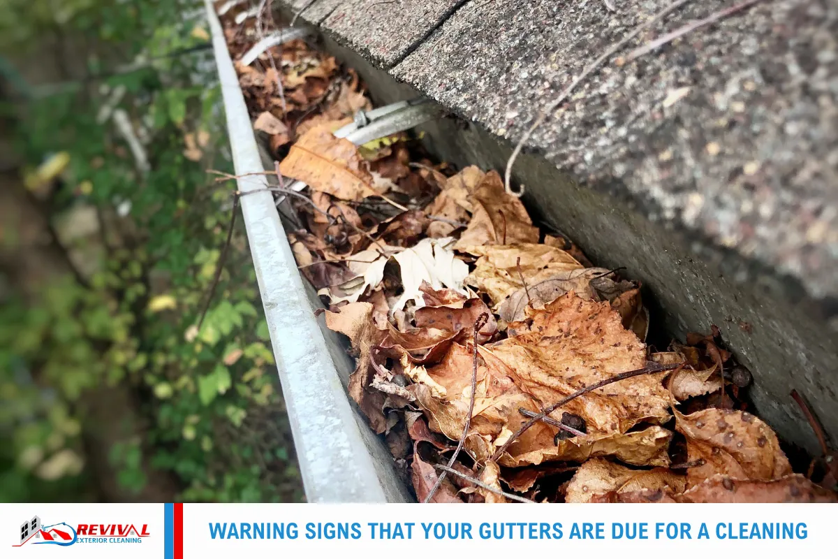 Warning Signs That Your Gutters Are Due for a Cleaning