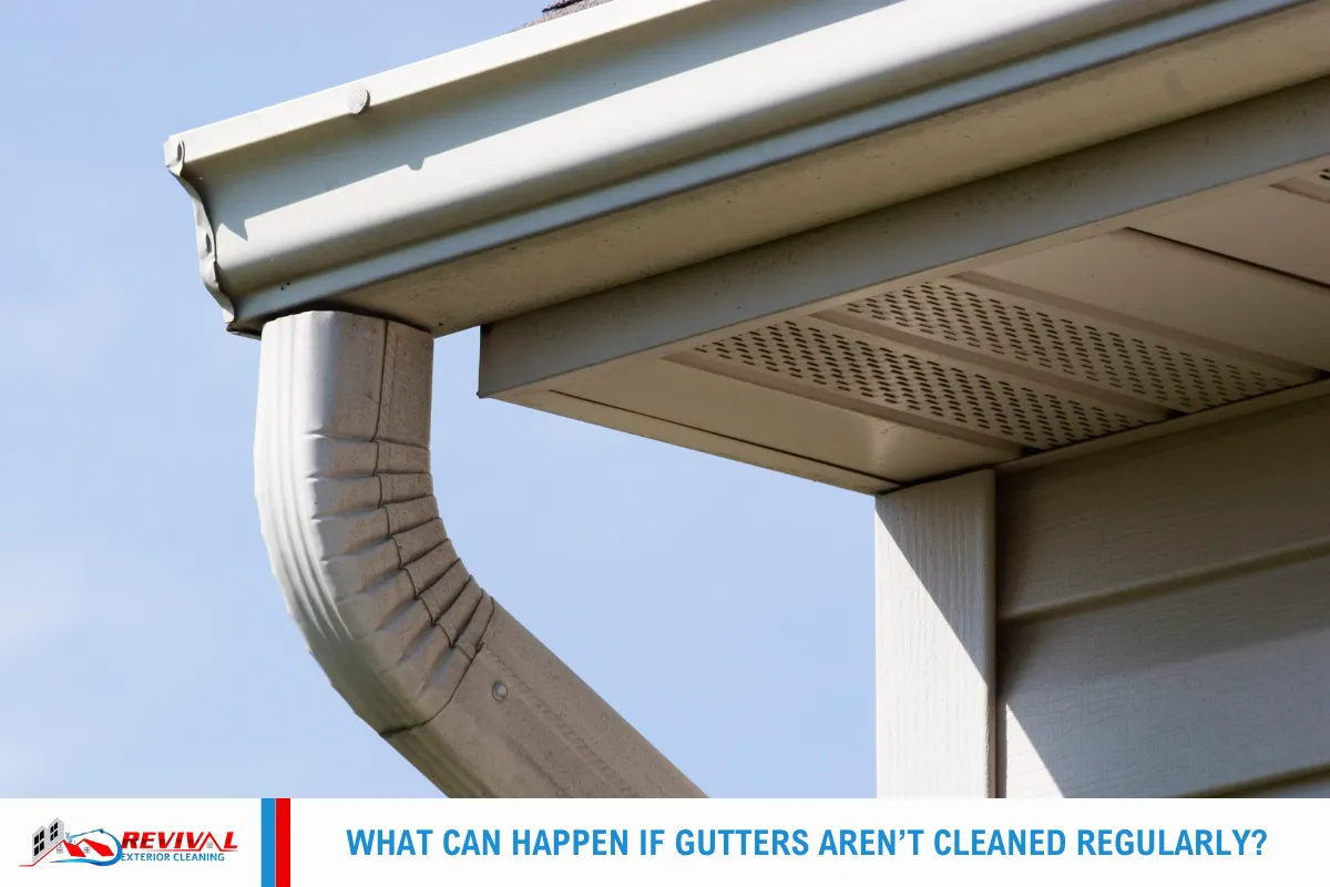 What Can Happen If Gutters Aren’t Cleaned Regularly?