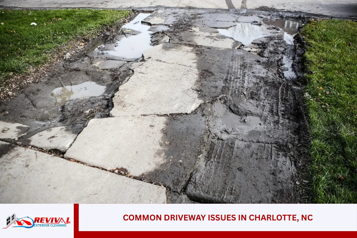 Common Driveway Issues in Charlotte, NC