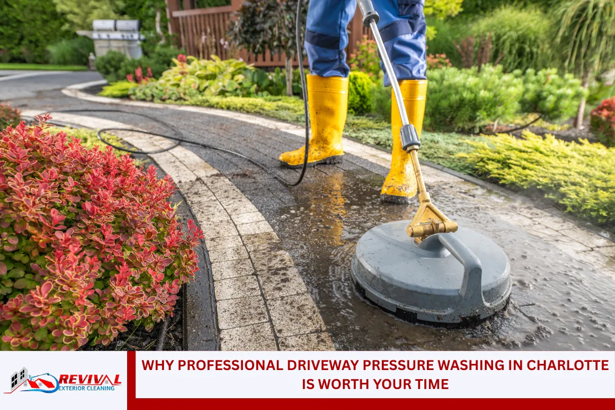 Why Professional Driveway Pressure Washing in Charlotte is Worth Your Time