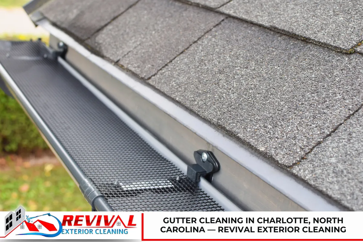 Gutter Cleaning in Charlotte, North Carolina — Revival Exterior Cleaning