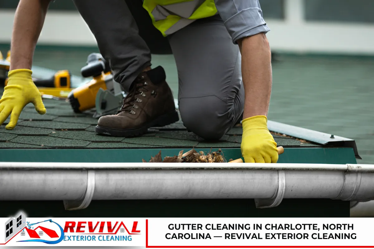 Gutter Cleaning in Charlotte, North Carolina — Revival Exterior Cleaning