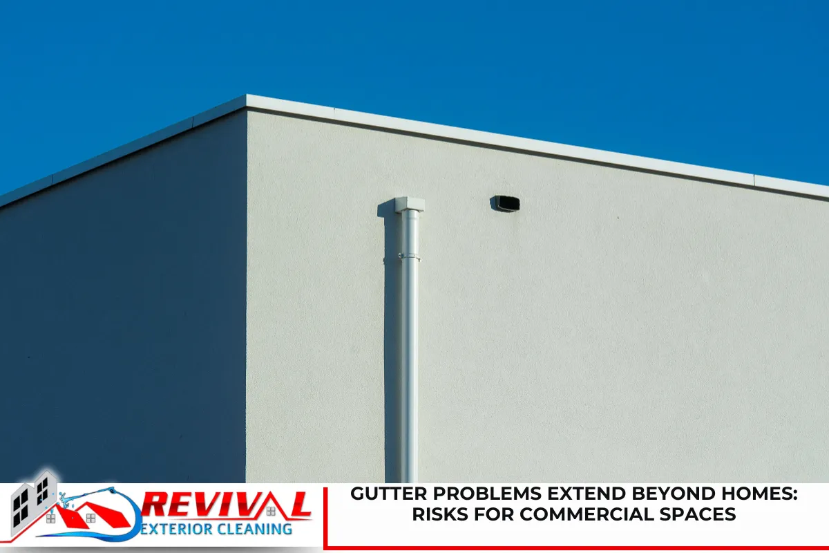 Gutter Problems Extend Beyond Homes: Risks for Commercial Spaces