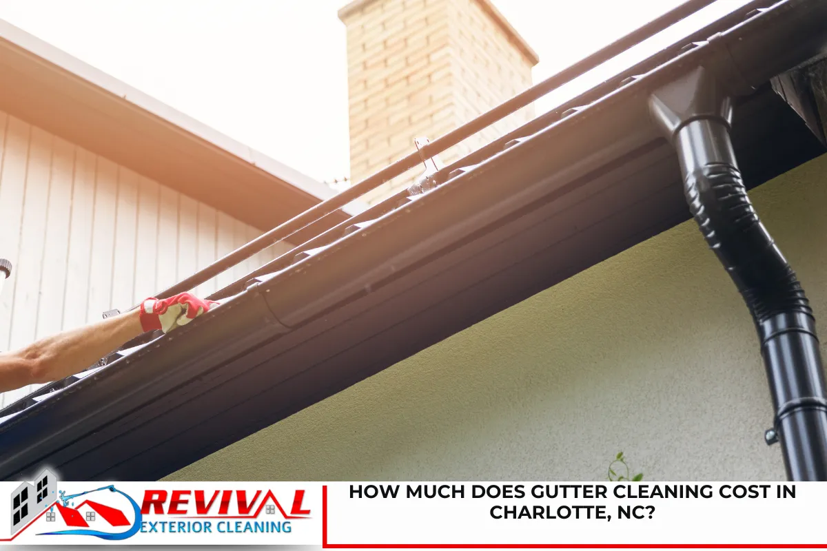 How Much Does Gutter Cleaning Cost in Charlotte, NC?