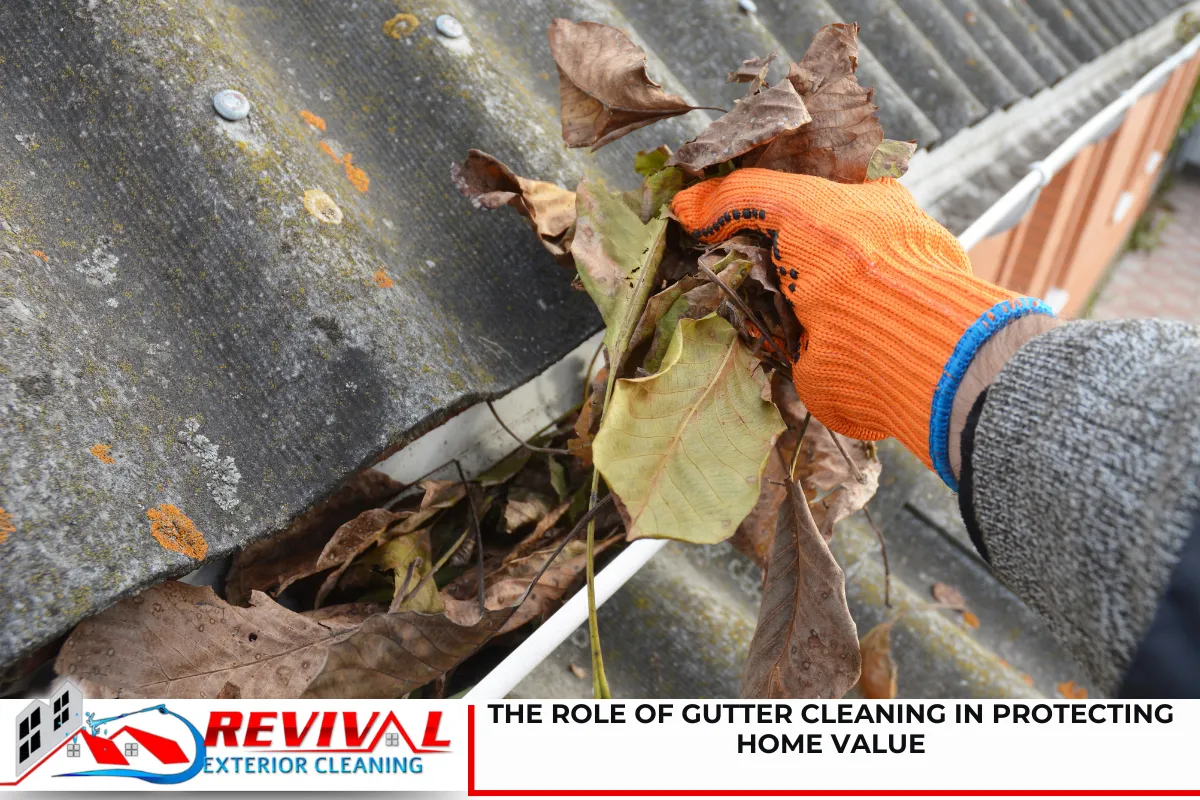 The Role of Gutter Cleaning in Protecting Home Value
