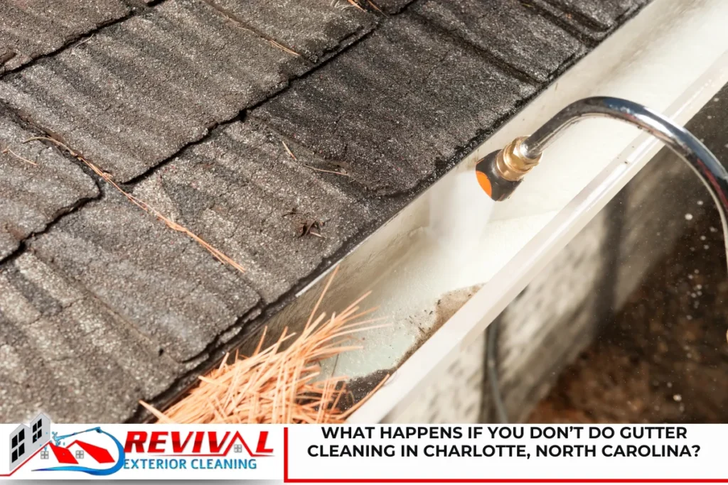 What Happens if You Don’t Do Gutter Cleaning in Charlotte, North Carolina?