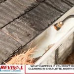 What Happens if You Don’t Do Gutter Cleaning in Charlotte, North Carolina?