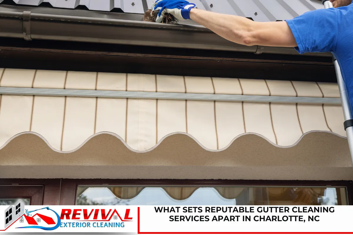 What Sets Reputable Gutter Cleaning Services Apart in Charlotte, NC