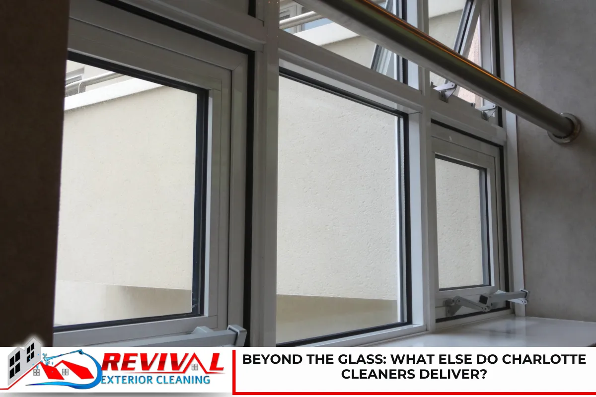 Beyond the Glass: What Else Do Charlotte Cleaners Deliver?