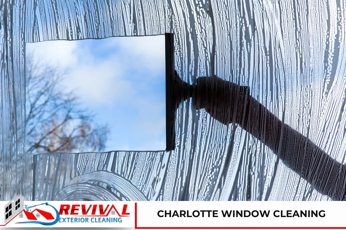 Charlotte Window Cleaning - Revival Exterior Cleaning