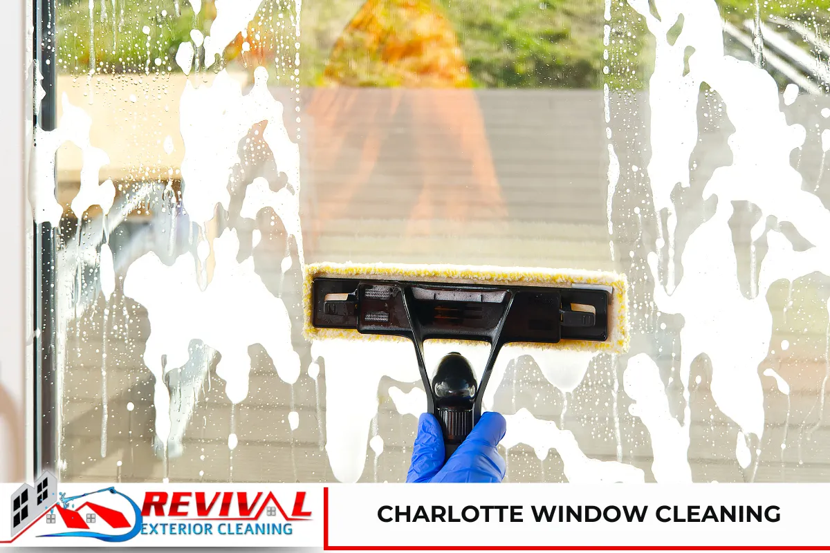 Charlotte Window Cleaning - Revival Exterior Cleaning