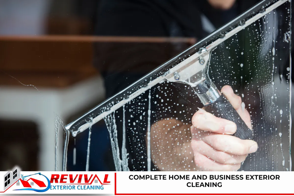 Complete Home and Business Exterior Cleaning