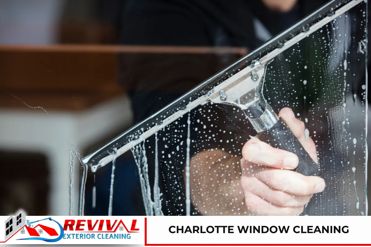 Charlotte Window Cleaning - Revival Exterior Cleaning