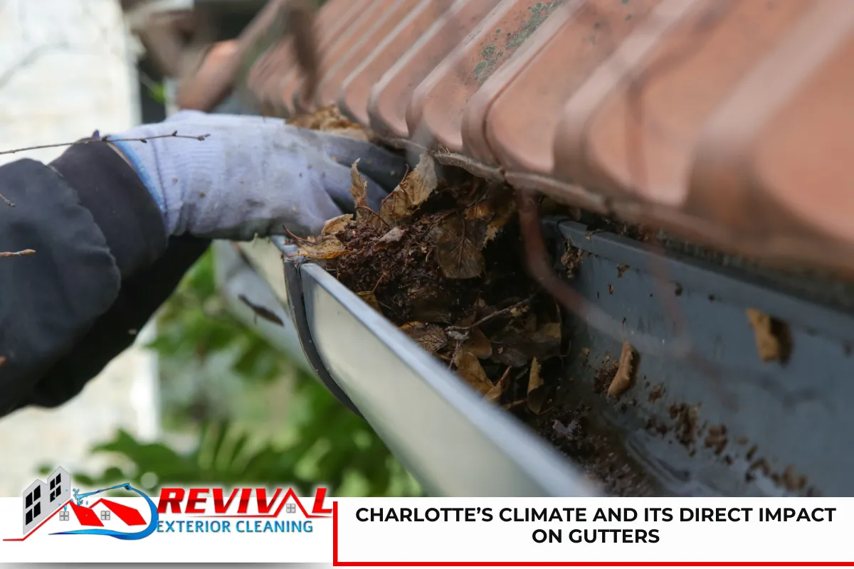 Charlotte’s Climate and Its Direct Impact on Gutters