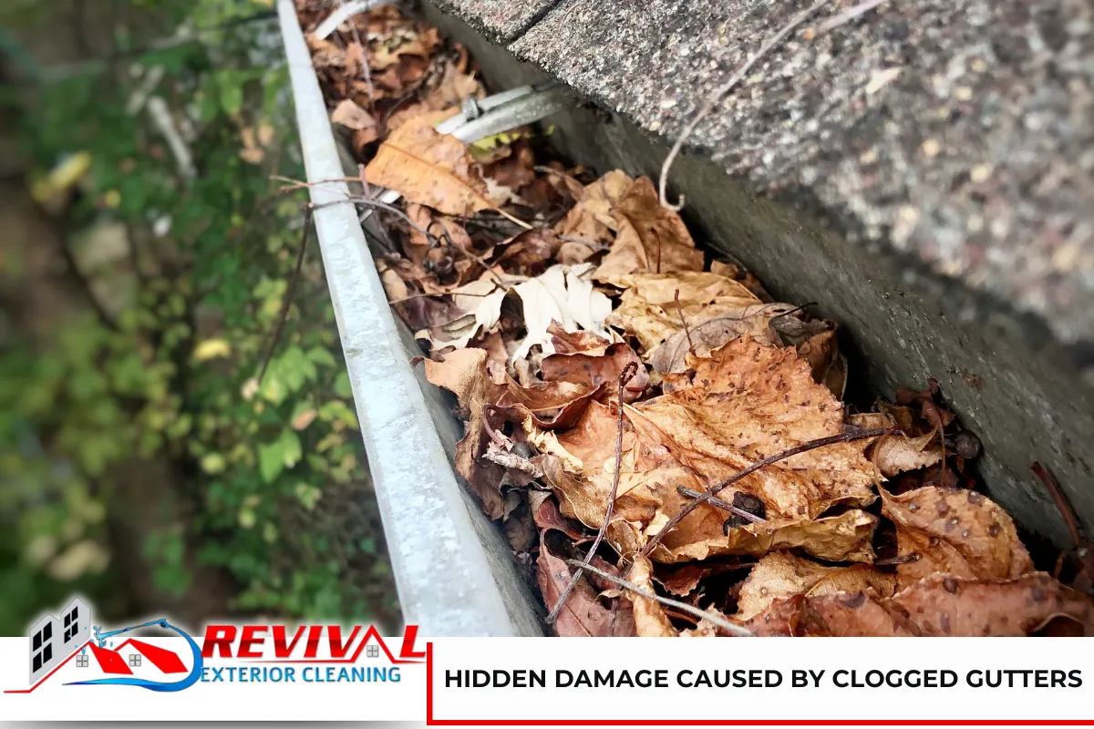 Hidden Damage Caused by Clogged Gutters