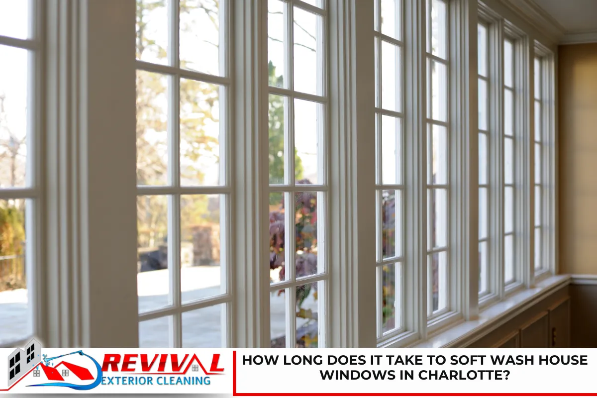 How Long Does It Take to Soft Wash House Windows in Charlotte?