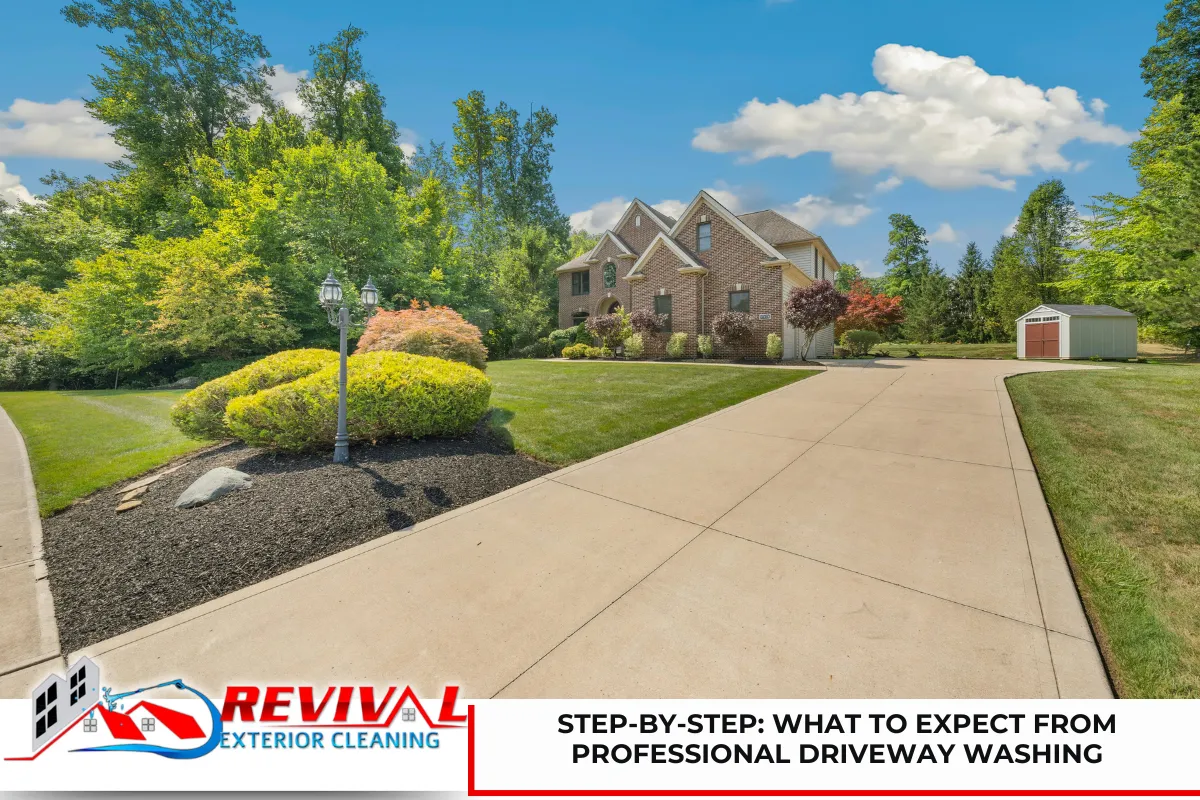 Step-by-Step: What to Expect from Professional Driveway Washing