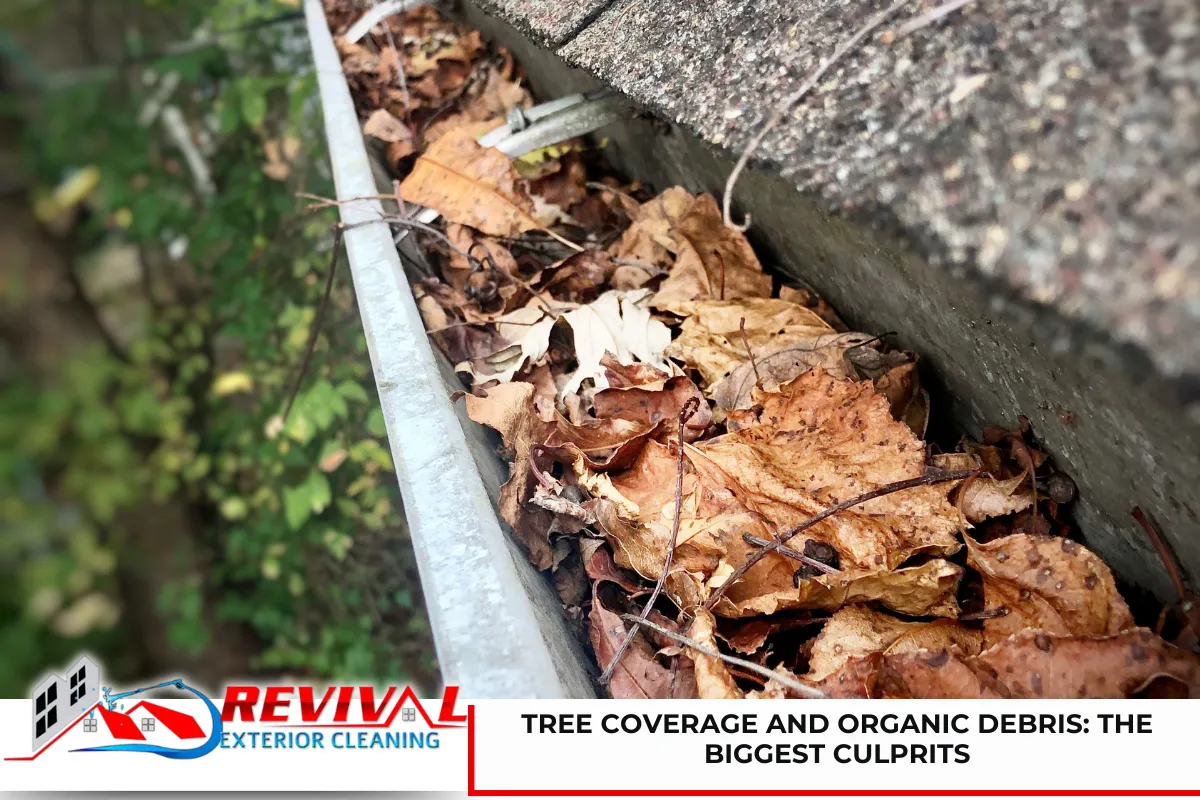 Tree Coverage and Organic Debris: The Biggest Culprits