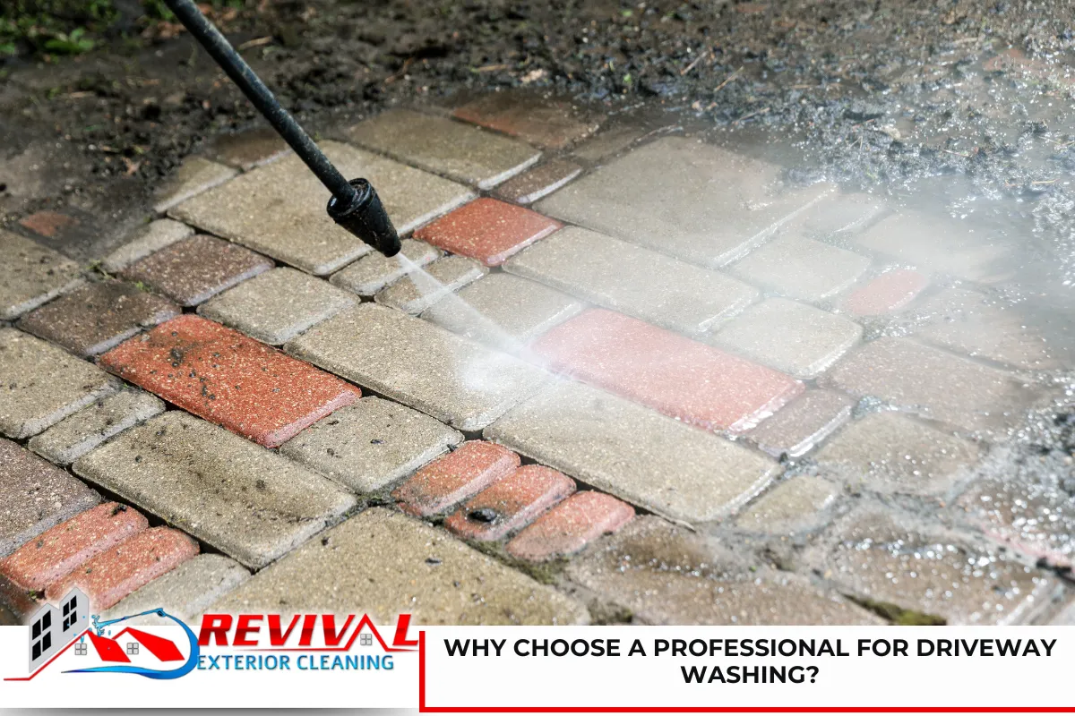 Why Choose a Professional for Driveway Washing?