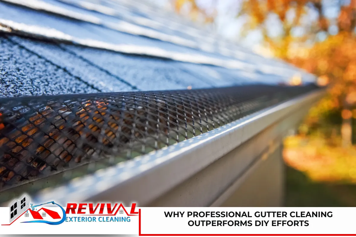 Why Professional Gutter Cleaning Outperforms DIY Efforts