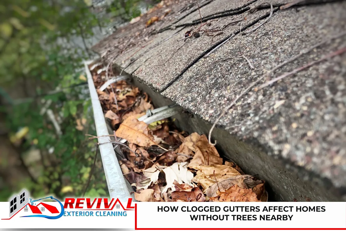How Clogged Gutters Affect Homes Without Trees Nearby