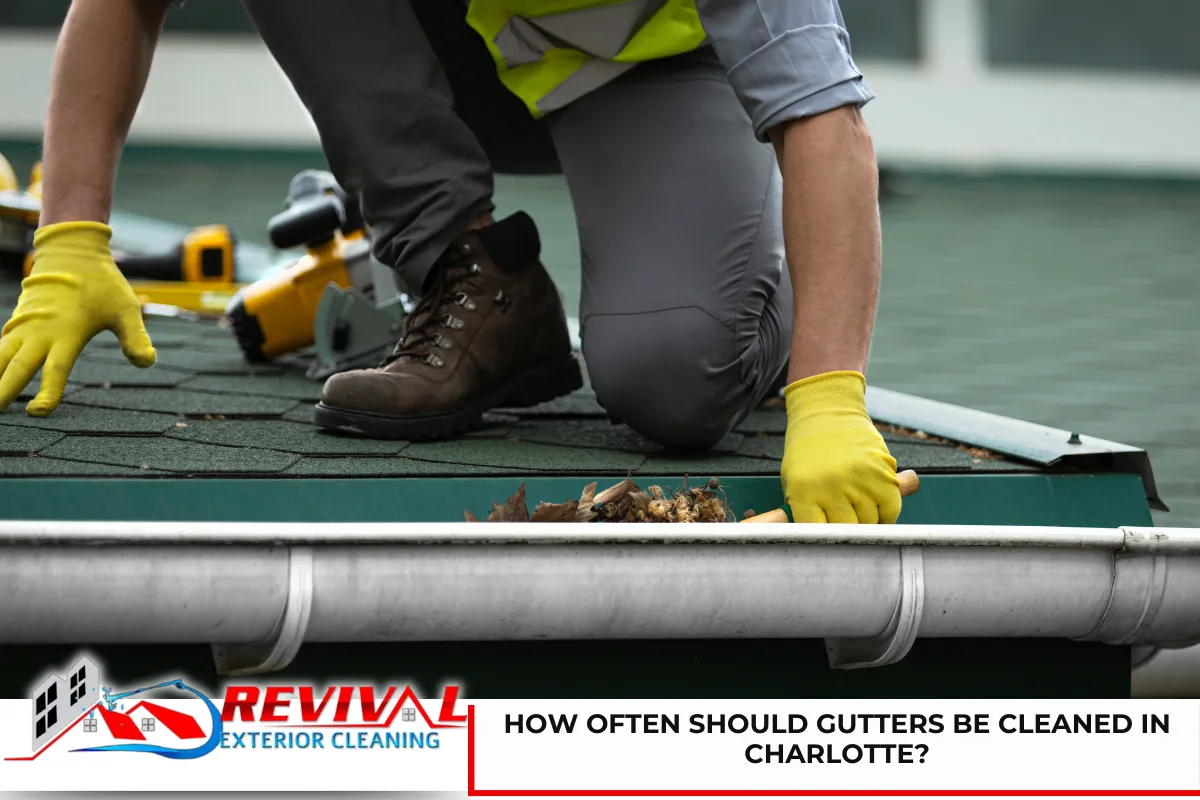 How Often Should Gutters Be Cleaned in Charlotte