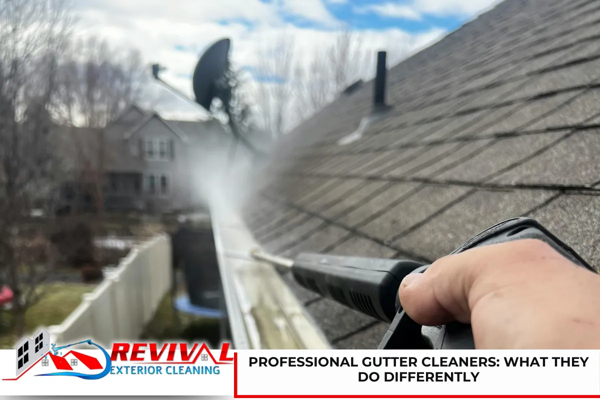Professional Gutter Cleaners What They Do Differently