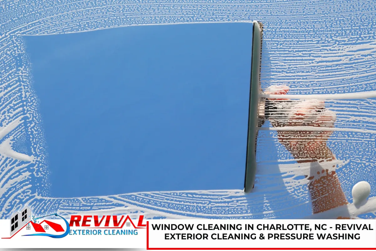 Window Cleaning in Charlotte, NC - Revival Exterior Cleaning & Pressure Washing