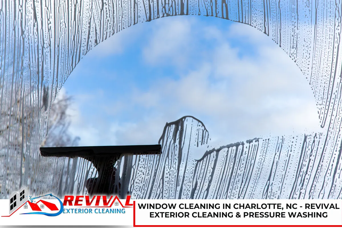 Window Cleaning in Charlotte, NC - Revival Exterior Cleaning & Pressure Washing