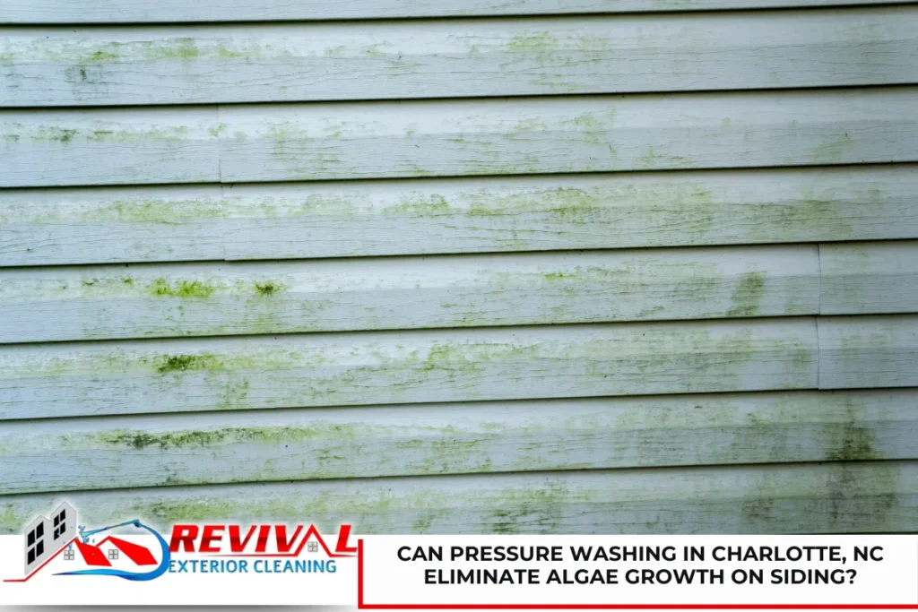 Can Pressure Washing in Charlotte, NC Eliminate Algae Growth on Siding?