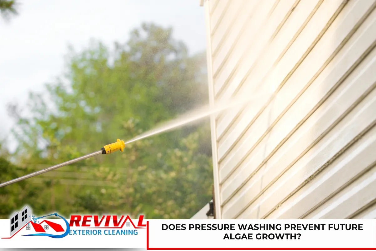 Does Pressure Washing Prevent Future Algae Growth?