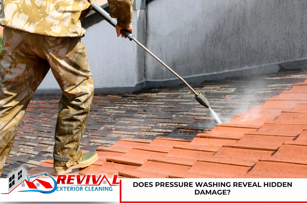 Does Pressure Washing Reveal Hidden Damage?