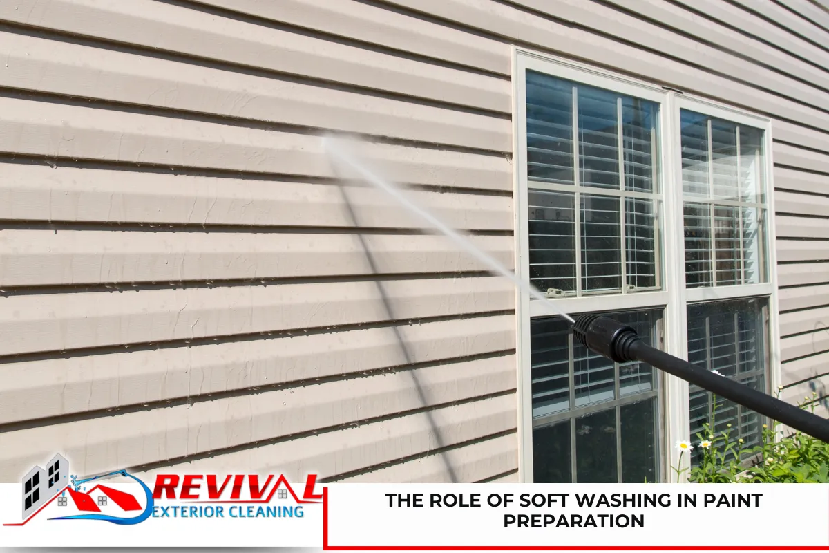 The Role of Soft Washing in Paint Preparation