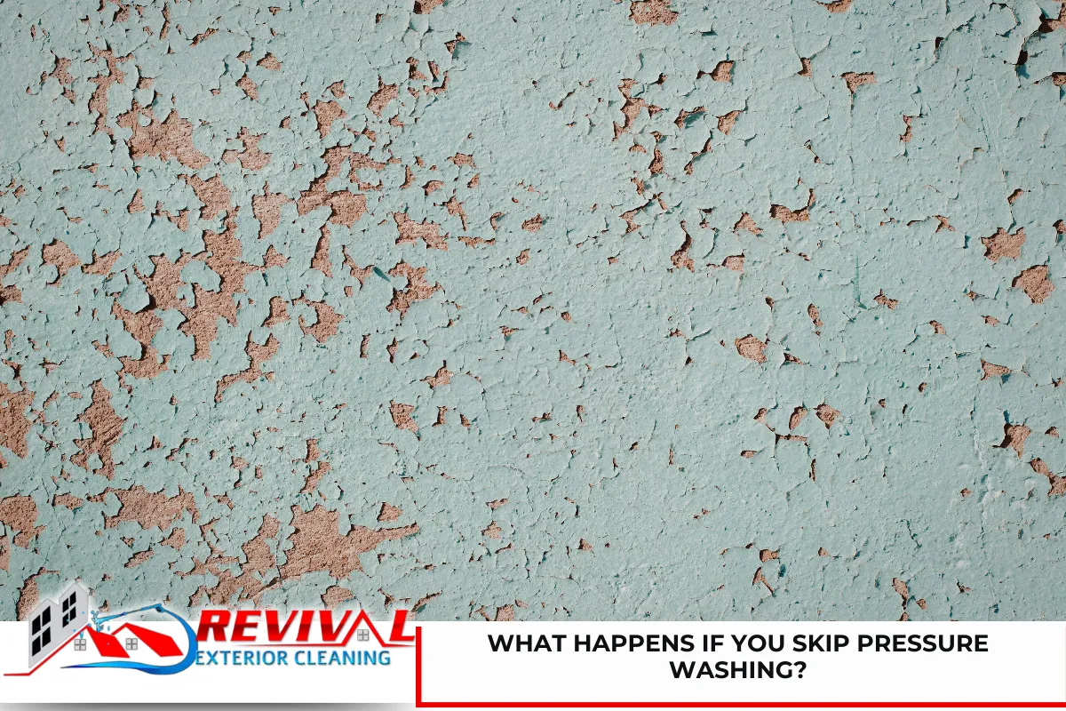 What Happens If You Skip Pressure Washing?